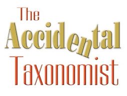 The Accidental Taxonomist